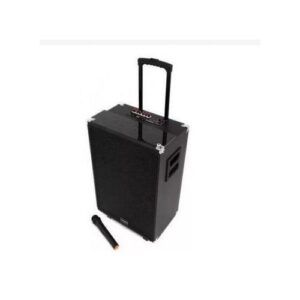Tagwood 12A trolley rechargeable speaker with microphone