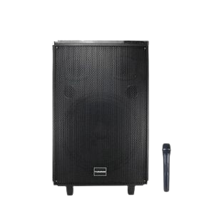 Tagwood 10A rechargeable trolley speaker with microphone