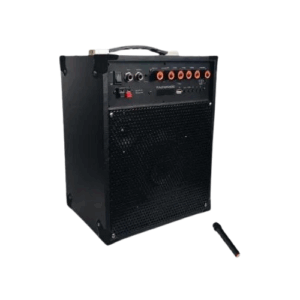 Tagwood 6A rechargeable trolley speaker with microphone